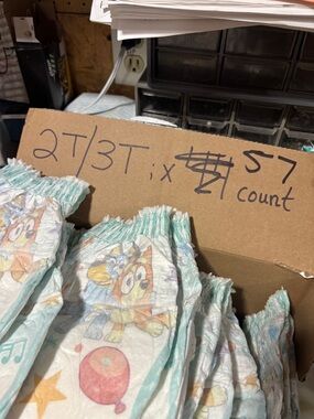 Bluey 2T/3T Pampers Easy-Ups: x57 count/74count